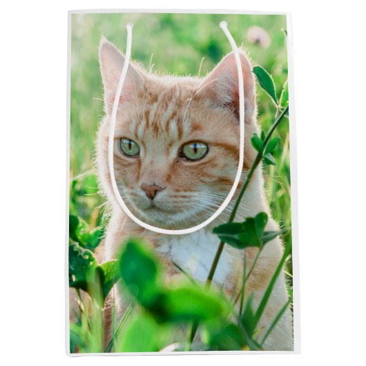 Sac Cadeau Moyen Chat de gingembre avec yeux verts en herbe (Devant)