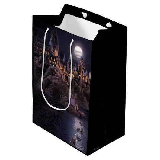 Sac Cadeau Moyen Château Harry Potter | Grand lac à Hogwarts (Devant Angle)