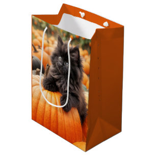 Sac Cadeau Moyen Chaton D'Anniversaire D'Halloween Sur Citrouille