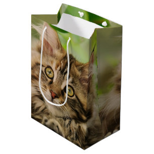 Sac Cadeau Moyen Chaton mignon de ragondin du Maine