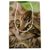 Sac Cadeau Moyen Chaton mignon de ragondin du Maine (Devant)