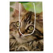 Sac Cadeau Moyen Chaton mignon de ragondin du Maine (Dos)