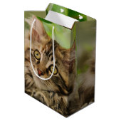 Sac Cadeau Moyen Chaton mignon de ragondin du Maine (Dos Angle)