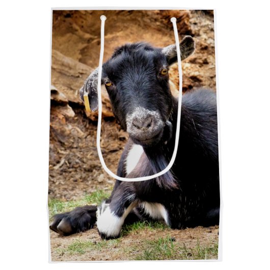 SAC CADEAU MOYEN CHÈQUE (Dos)