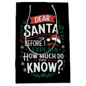 Sac Cadeau Moyen Cher Père Noël Avant D'Expliquer Combien Vous Save (Devant)