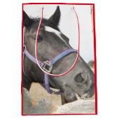 Sac Cadeau Moyen Cheval mignon à mâcher sur une clôture (Devant)