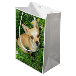 Sac Cadeau Moyen Chihuahua mignon dans une prairie herbeuse