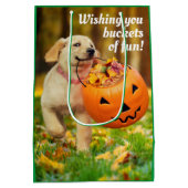 Sac Cadeau Moyen Chiot avec saut Citrouille (Dos)