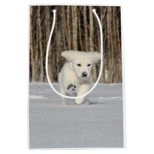 Sac Cadeau Moyen Chiot blanc Golden Retriever en neige (Devant)