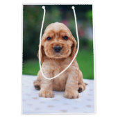 Sac Cadeau Moyen Coker Spaniel (Devant)