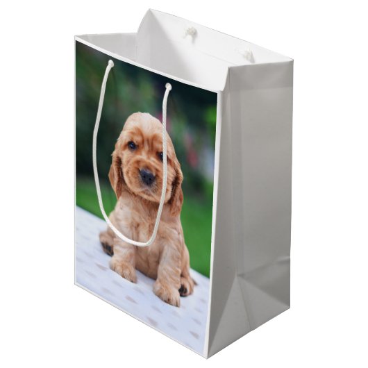 Sac Cadeau Moyen Coker Spaniel (Devant Angle)