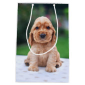 Sac Cadeau Moyen Coker Spaniel (Dos)