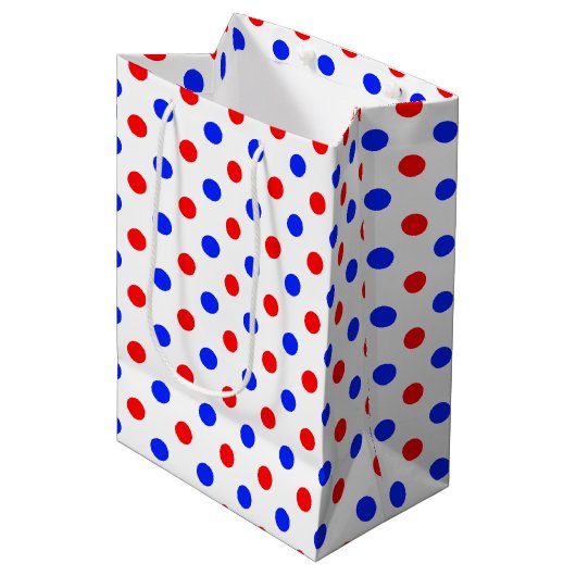 Sac Cadeau Moyen Conception de points noirs blancs rouges bleus  (Devant Angle)