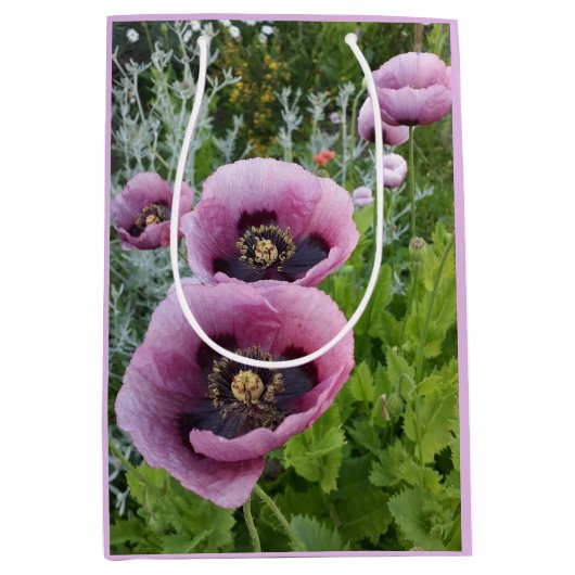 Sac Cadeau Moyen Coquelicots Mauve Violet Rose Violet Aquarelle Moy (Devant)