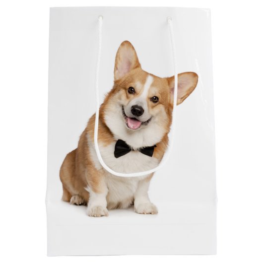 Sac Cadeau Moyen Corgi (Dos)