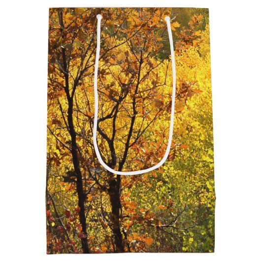 Sac Cadeau Moyen Couleurs d'automne (Dos)