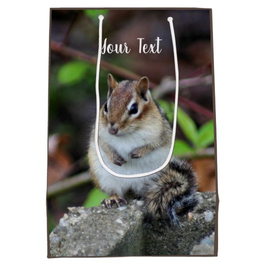 Sac Cadeau Moyen Cute Chipmunk animal sauvage (Dos)