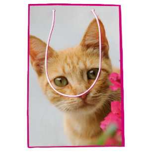 Sac Cadeau Moyen Cute Ginger Chat Kitten Vous Regarder Portrait Pho