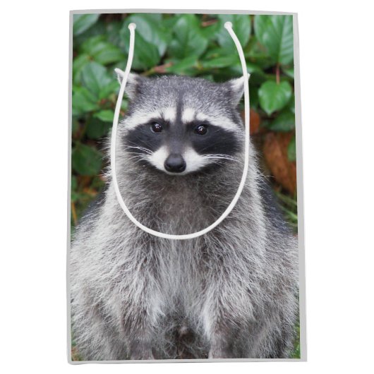 Sac Cadeau Moyen Cute Pote Raccoon Photo Faune (Devant)