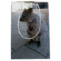"Des coups de bâton en Australie : une Quokka gris
