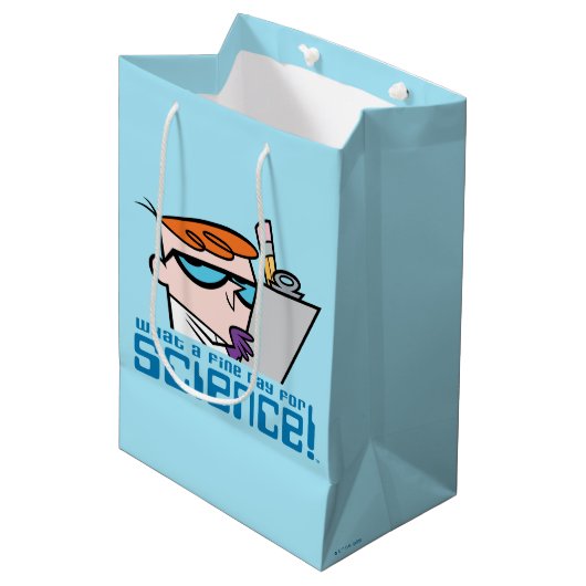 Sac Cadeau Moyen Dexter (Devant Angle)