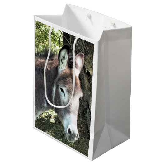 SAC CADEAU MOYEN DONKEY (Dos Angle)