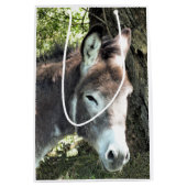 SAC CADEAU MOYEN DONKEY (Devant)