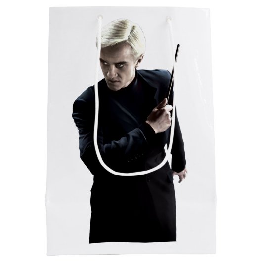 Sac Cadeau Moyen Draco Malfoy 3 (Dos)