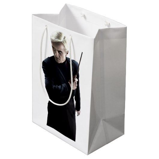 Sac Cadeau Moyen Draco Malfoy 3 (Dos Angle)