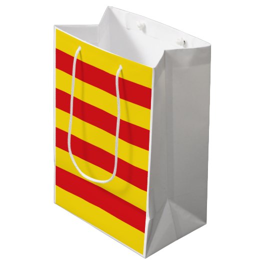 Sac Cadeau Moyen Drapeau catalan (Catalogne) (Devant Angle)