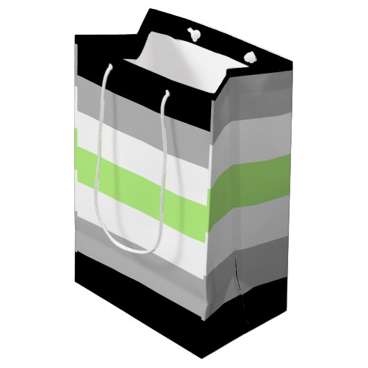 Sac Cadeau Moyen Drapeau de fierté agender (Devant Angle)