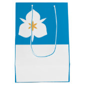 Sac Cadeau Moyen Drapeau de Salt Lake City, Utah (Dos)