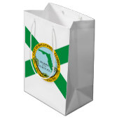 Sac Cadeau Moyen Drapeau d'Hollywood, Floride (Dos Angle)