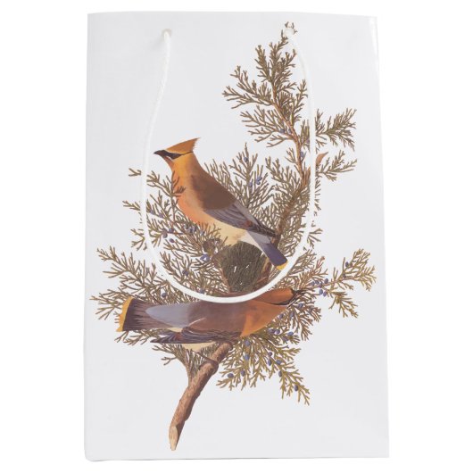 Sac Cadeau Moyen Écirage de cèdre Audubon Songbirds à Juniper (Devant)