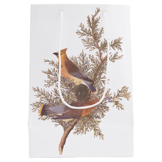 Sac Cadeau Moyen Écirage de cèdre Audubon Songbirds à Juniper (Dos)