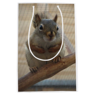 Sac Cadeau Moyen Écureuil mûr à la branche