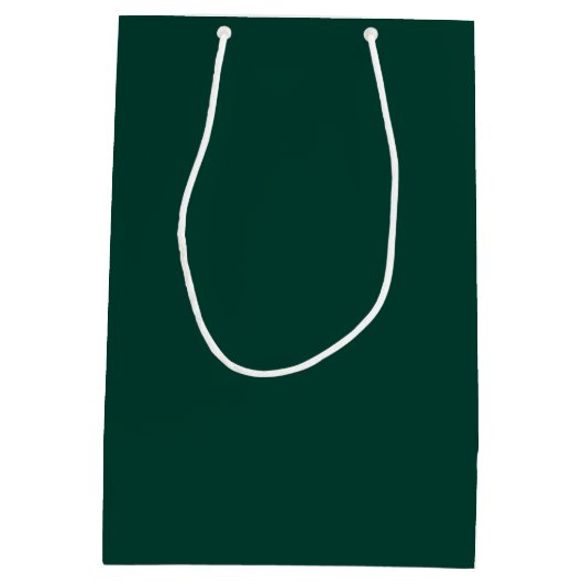 Sac Cadeau Moyen Émeraude Vert moderne Groomsman personnalisé (Dos)