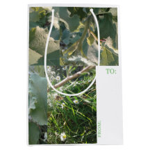 SAC CADEAU MOYEN / ÉTIQUETTE / NATURE / #MMETROPOL