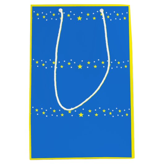 Sac Cadeau Moyen Étoilé (Devant)