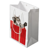 Sac Cadeau Moyen Étreinte de Noël de Kitty (Devant Angle)