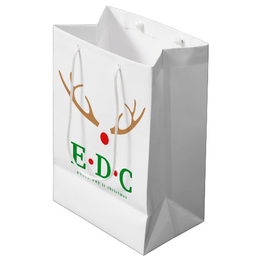 Sac Cadeau Moyen Every Day is Christmas Medium Gift Bag (Devant Angle)
