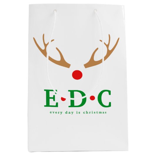 Sac Cadeau Moyen Every Day is Christmas Medium Gift Bag (Devant)