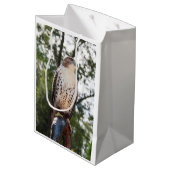 Sac Cadeau Moyen Faucon Rouge-Coupé la queue (Dos Angle)