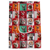 Sac cadeau moyen Festichie et amis (Dos)