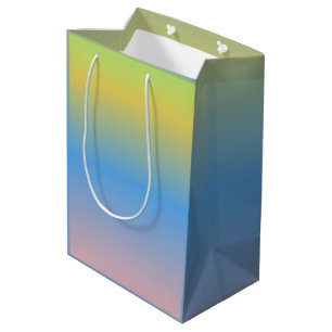 Sac Cadeau Moyen Fête d'anniversaire bébé shower pastel multicolore