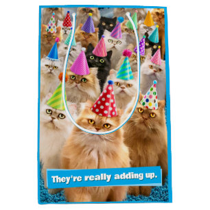 Sac Cadeau Moyen Fête de chats