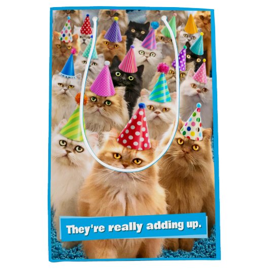 Sac Cadeau Moyen Fête de chats (Devant)