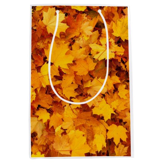 Sac Cadeau Moyen Feuilles d'automne (Devant)