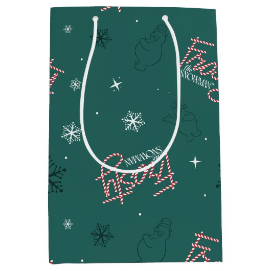 Sac Cadeau Moyen Frosty Snowman Green Snowflake Motif (Devant)