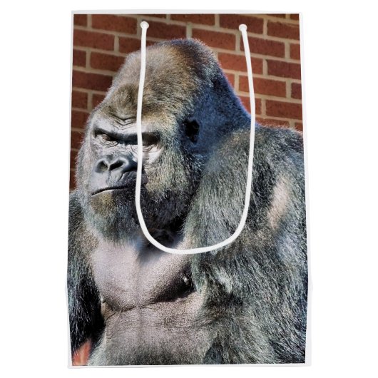 SAC CADEAU MOYEN FUN GORILLA (Dos)